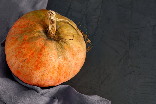 大的成熟的橙色南瓜在深灰色的混凝土表面用纺织品毛巾。图片下载