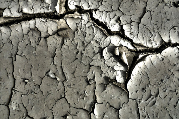 黑白照片。干燥开裂的土地俯视图图片下载