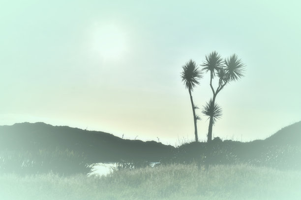 复古风格的新西兰景观图片下载