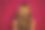 后视图照片漂亮的模特女士转身展示惊人的长卷曲的秀发广告新洗发水孤立的紫红色背景图片下载