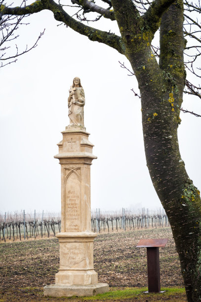 在布尔根兰的一个葡萄园里有一座圣罗莎莉塔的雕像图片下载