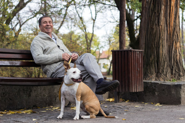 微笑的老人和他的狗在公园图片下载