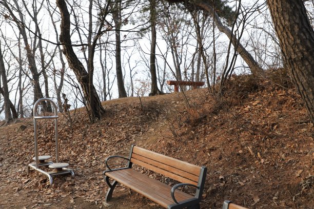 京户道扬江山的长椅图片下载