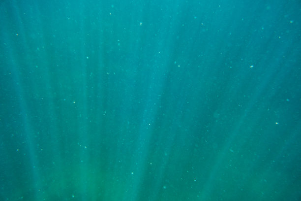 摘要在海水背景下以海洋浮游生物为主。图片下载