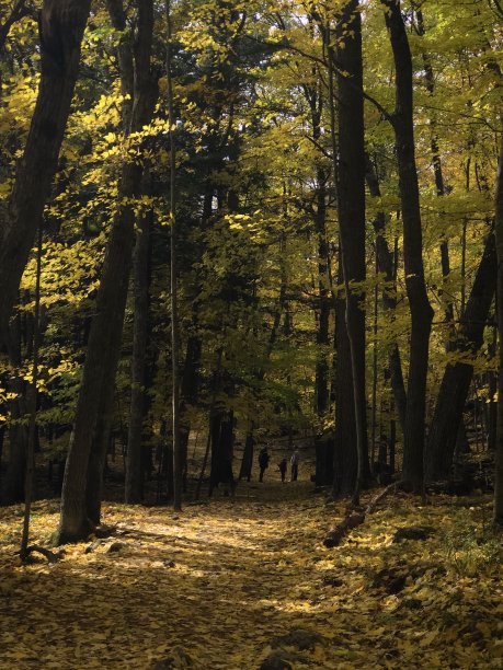 徒步旅行路线与徒步旅行的家庭和美丽的景色。图片下载