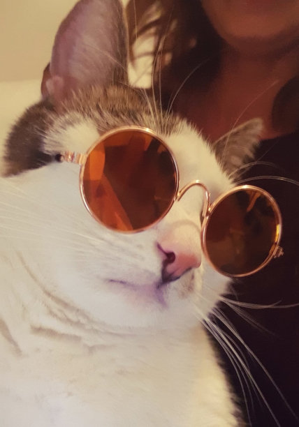 头脑冷静的人图片下载