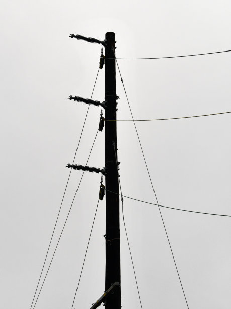 大雾条件下的强力固定图片下载