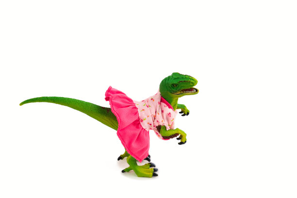 可爱的恐龙穿着粉红色的衣服孤立在白色图片下载