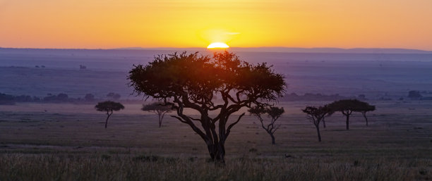 马赛马拉日出图片下载