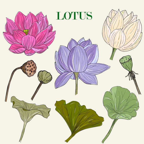 •1/2]3/42]1/2 2 2 GB图片下载