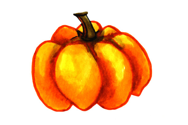 橙色南瓜手绘标记秋天插图图片下载