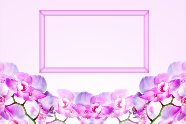 模型与卡片或纸板和粉红色的背景上的花。图片下载