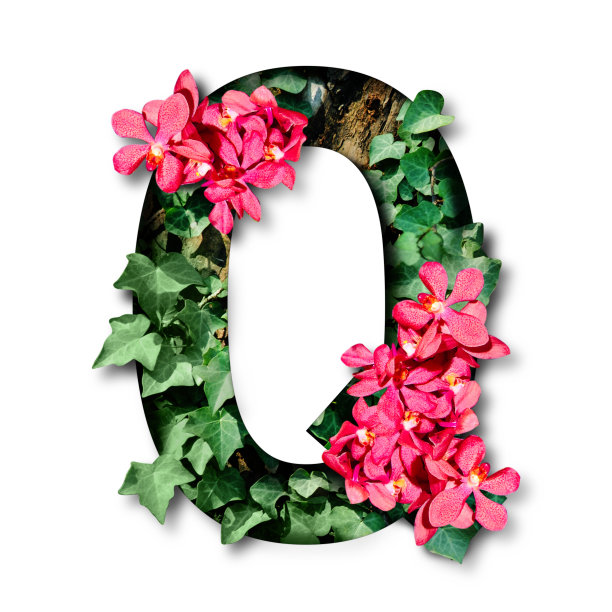 热带植物花卉字体字母q设计与剪纸风格的白色背景图片下载