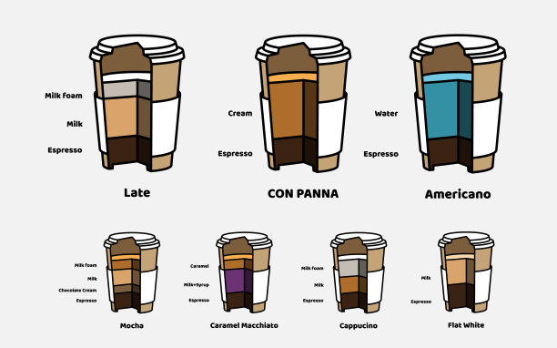切面矢量纸板杯的咖啡饮料与类型和组成。图片下载