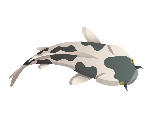 平静的漂浮鱼。锦鲤鱼载体插图日本鲤鱼，丰富多彩的东方锦鲤在亚洲。中国金鱼，传统渔业孤立为背景图片下载