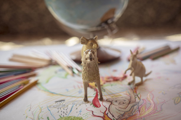 动物在危险中的特写摄影图片下载