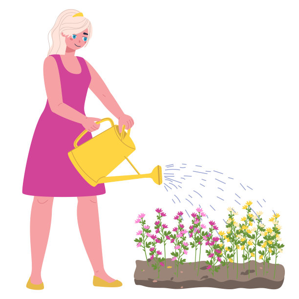 一个女园丁从浇水罐里给床上的花浇水。时尚的矢量图图片下载