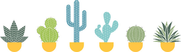 盆栽绿色植物图片下载