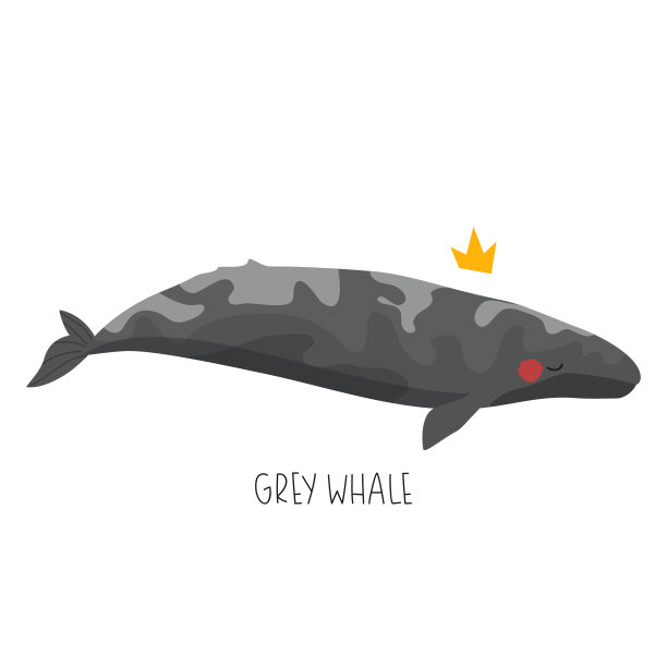 可爱的卡通鲸鱼矢量插图图片下载