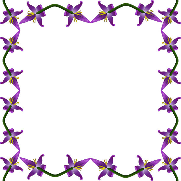 可爱的热带花卉框架。盛开的香蕉花序。向量。放置文字，照片。孤立的背景。制作贺卡，请帖的想法。印花。图片下载
