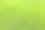 绿草的背景。背景纹理。图片下载