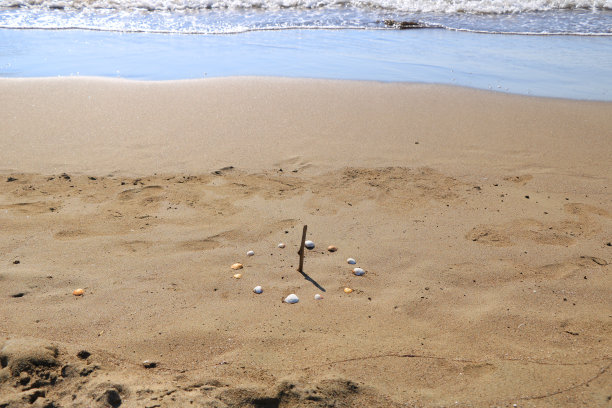 沙滩上贝壳做的日晷图片下载