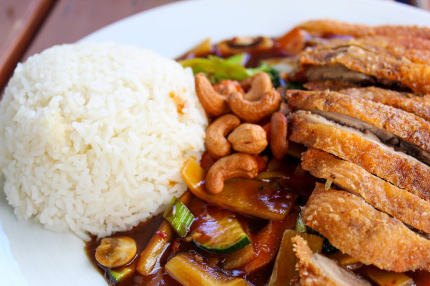 亚洲饭鸭与蔬菜和米饭特写图片下载