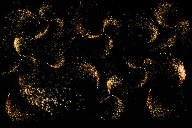 一套金色的黑色烟花。图片下载