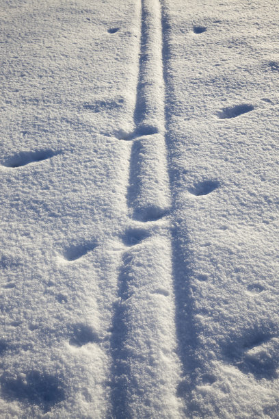 村道狭窄，车轮运输的痕迹在雪地里，在大自然的冬天图片下载