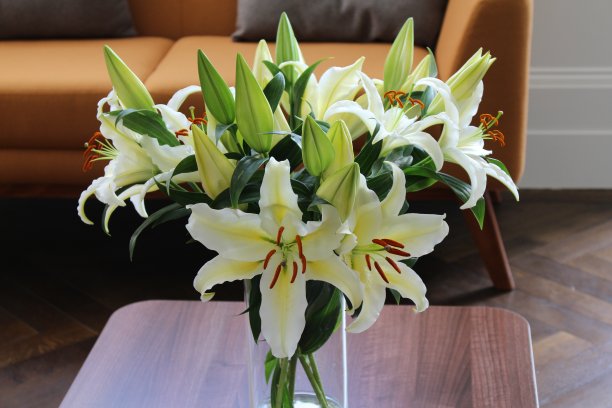 花瓶里的百合图片下载