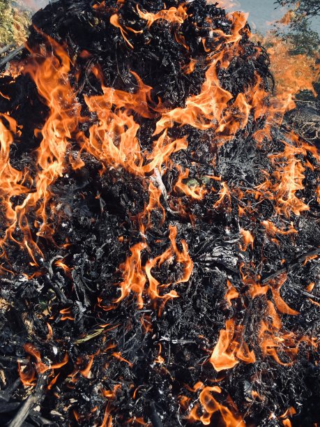 火和垃圾图片下载