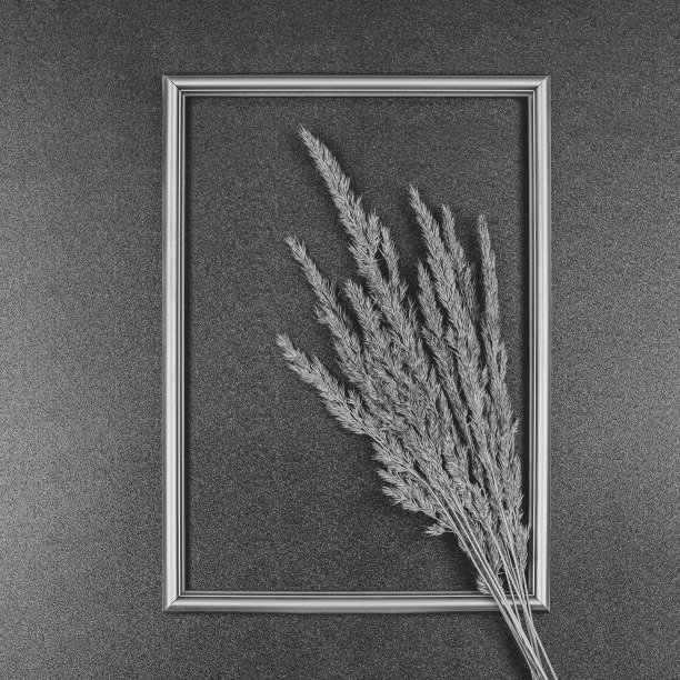 装饰构图，黑色背景上的相框，干花。平铺，俯视图，拷贝空间。图片下载