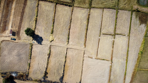 干旱农田的航拍照片图片下载