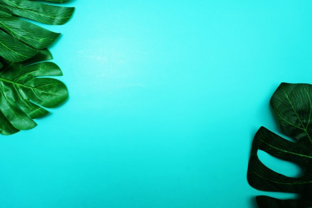 怪物的绿色离开与空白副本在蓝色的背景图片下载