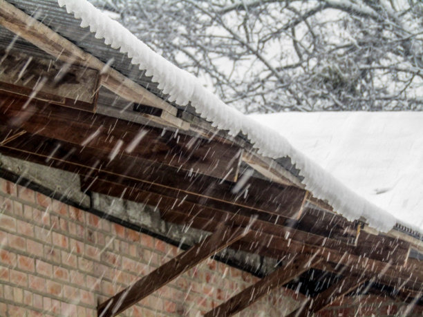 一所房子的石板屋顶在雪中，旁边的一棵树在下雪的时候。照片图片下载