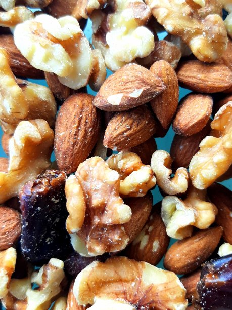 各种各样的坚果和枣。图片下载