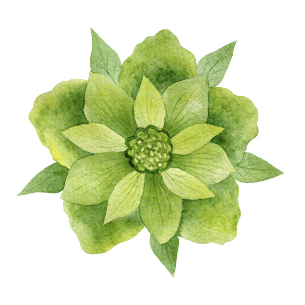 绿色水彩花图片下载