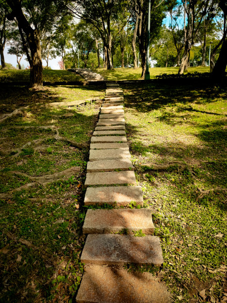 晴天，公园里的步道砖。亚洲的自然景观。垂直的照片。图片下载