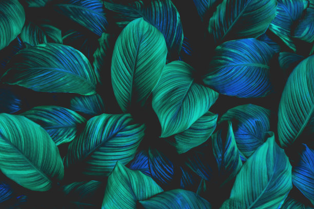 摘要绿叶背景图片下载