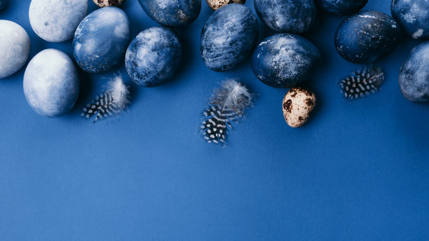 美丽的群暗蓝色复活节蛋鹌鹑蛋和羽毛在蓝色的背景。复活节的概念。边境鸡蛋。为文本复制空间。图片下载
