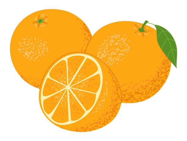 整套新鲜成熟的橙子水果，切成两半，切片。素材图片
