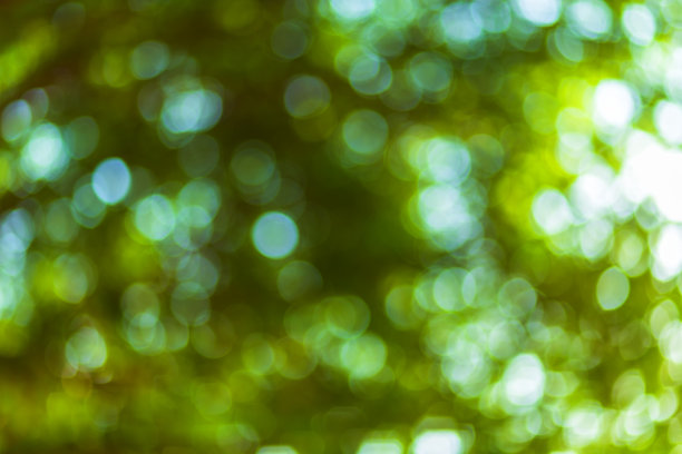 绿色的散景背景与圆圈。夏天抽象的主题。图片下载