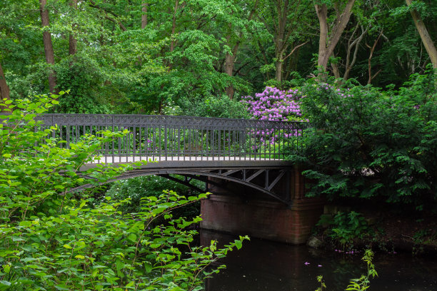 穿过Tiergarten公园图片下载