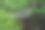 穿过Tiergarten公园图片下载