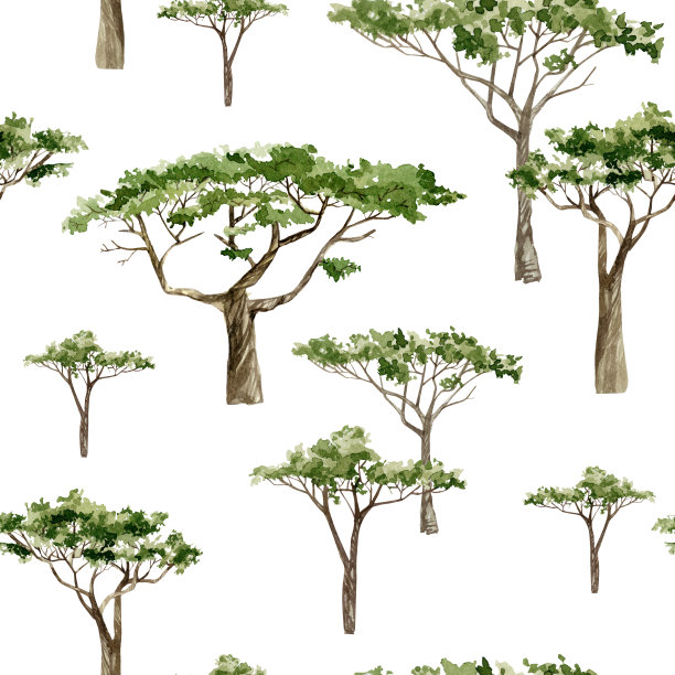 水彩非洲树宝宝。手绘无缝图案插图南方树木在大草原为纺织面料，包装纸。图片下载