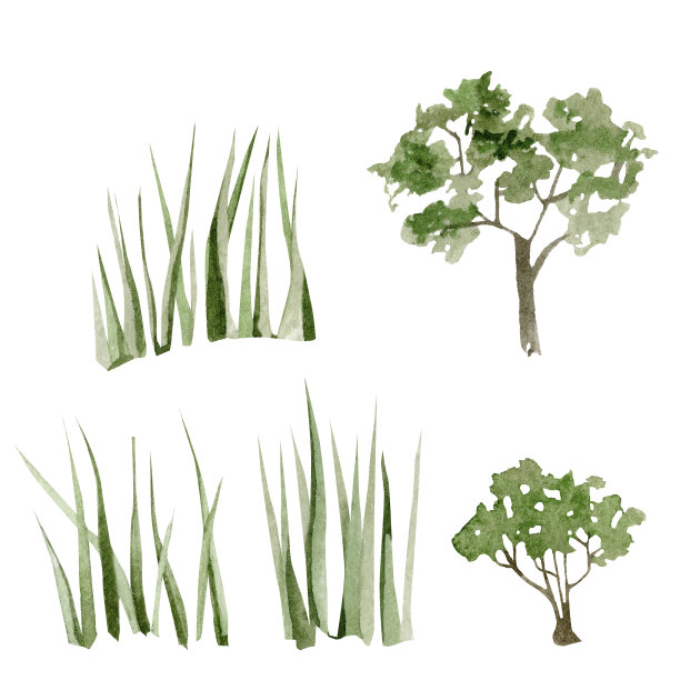 水彩景观树木和草设置在森林孤立的白色背景。手绘插图野生动物贺卡，横幅，邀请模板。图片下载