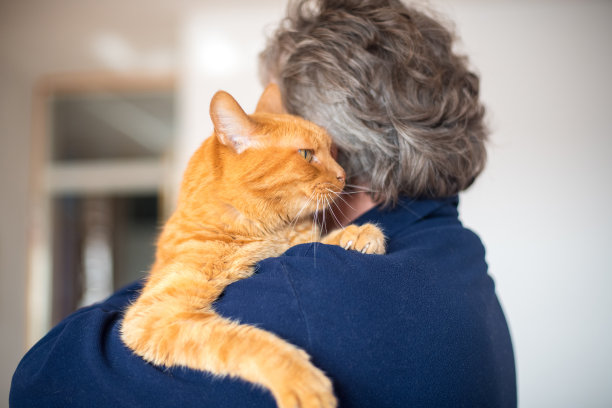高级男子把姜猫放在他的肩膀上，欧洲图片下载