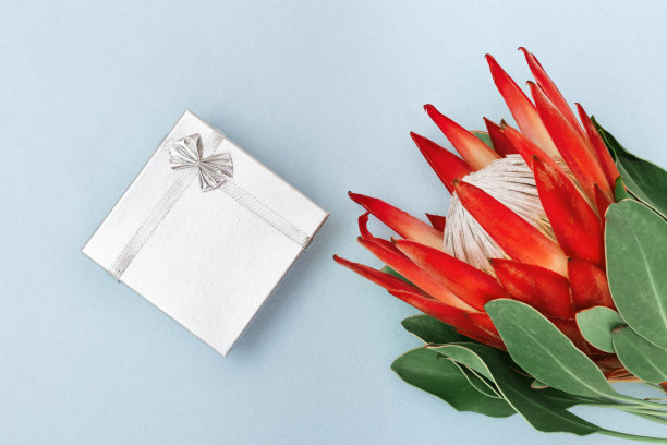 庆典背景：美丽的帝王花，大型异国情调植物和银色礼品盒，带有文案空间，顶部视角图片下载