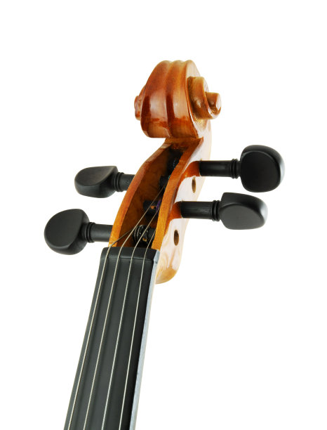 白色上隔离的小提琴图片下载