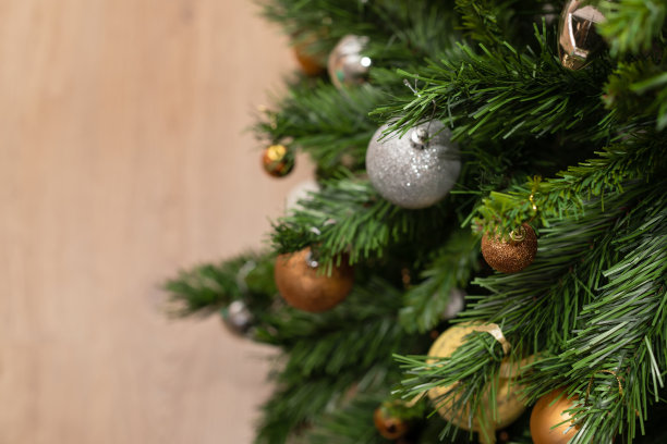 圣诞节树图片下载